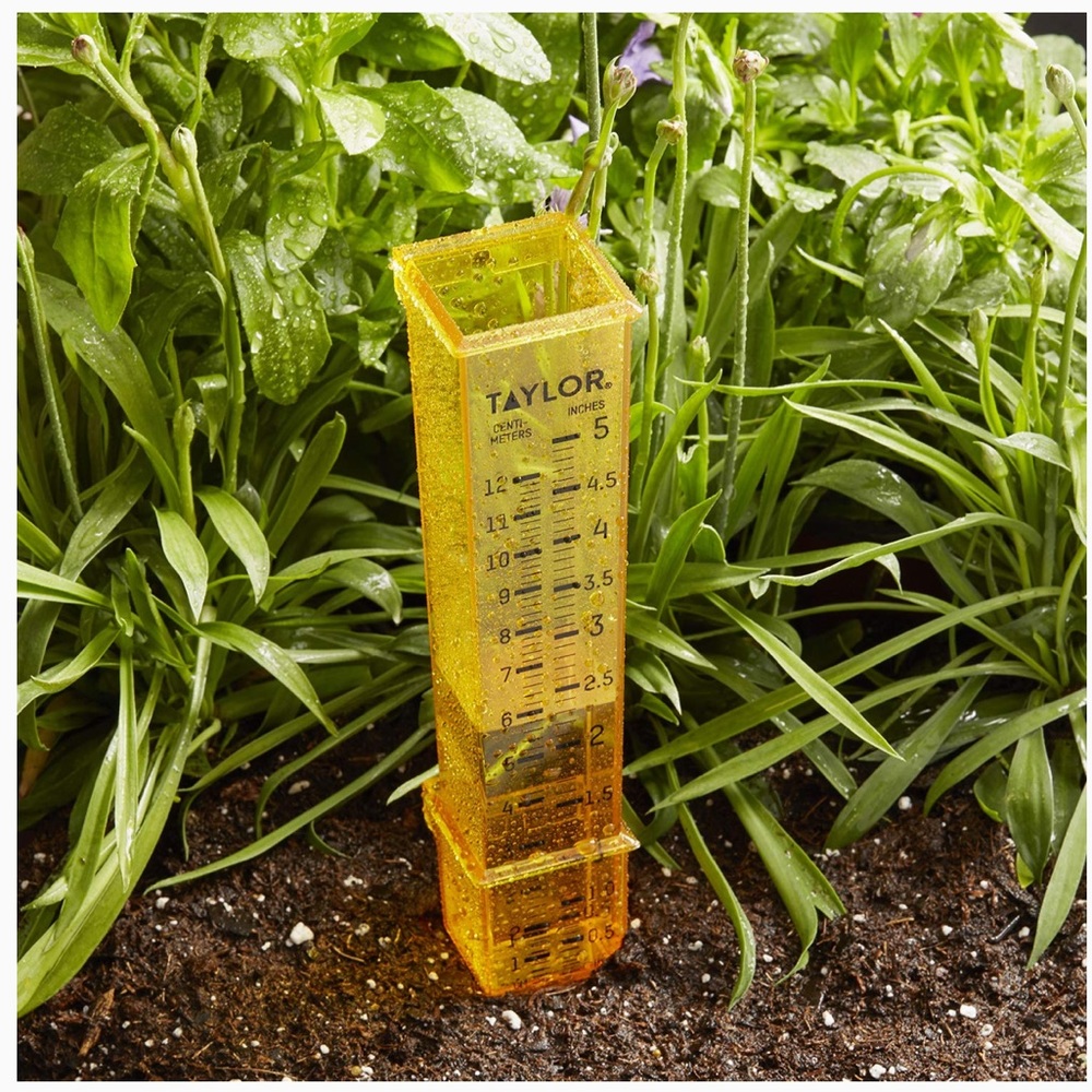 TAYLOR PRECISION PRODUCTS Rain Gauge with Centimetre and Inches Markings